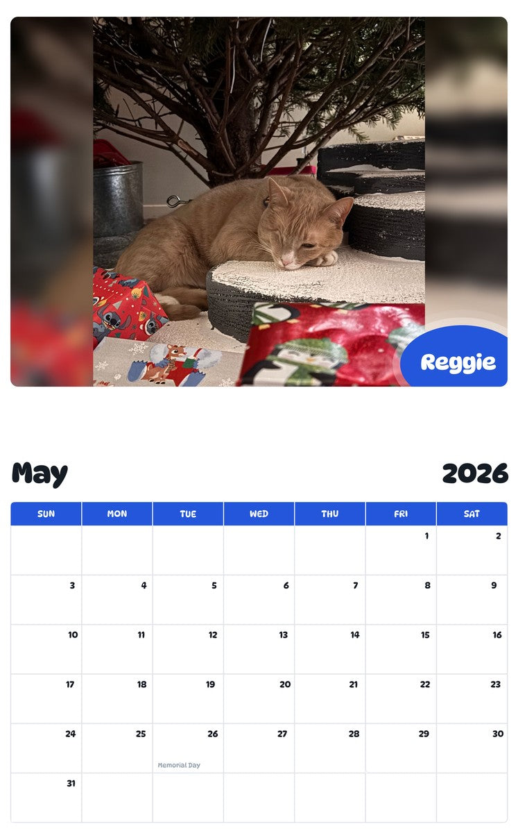 2026 - 2027 Reggie - Pawidols Pet Calendar
