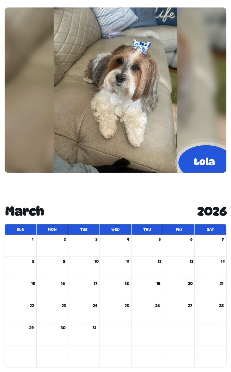 November 2025 - October 2026 Lola - Pawidols Pet Calendar