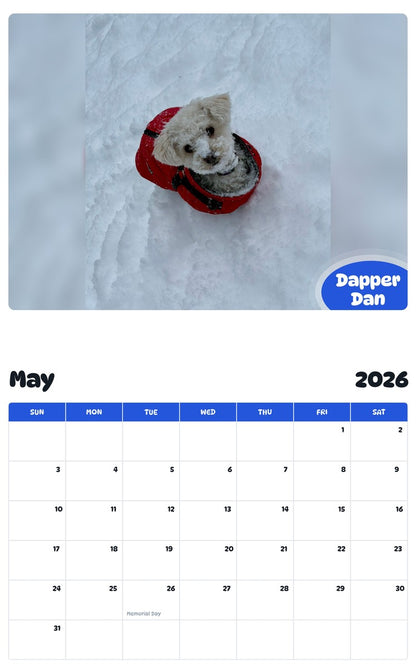 2026 - 2027 Dapper Dan - Pawidols Pet Calendar