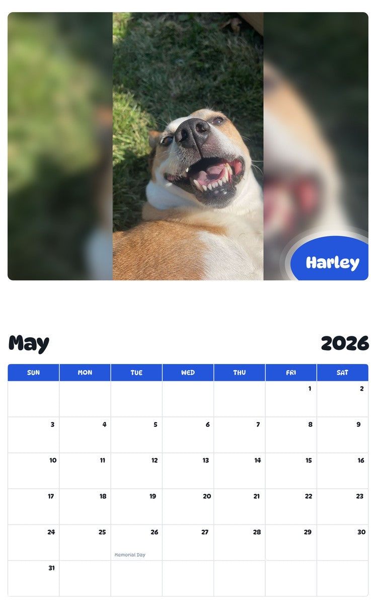 2026 - 2027 Harley - Pawidols Pet Calendar
