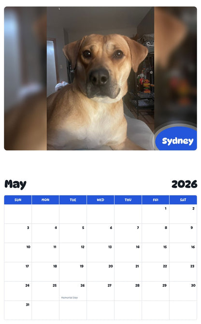2026 - 2027 Sydney - Pawidols Pet Calendar