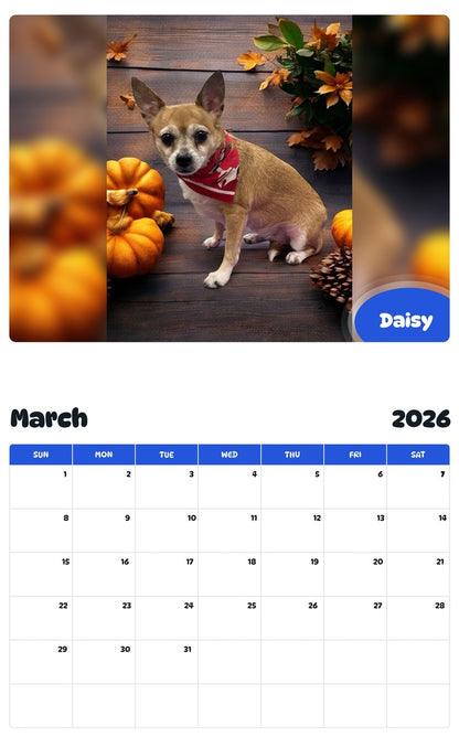 November 2025 - October 2026 Daisy - Pawidols Pet Calendar