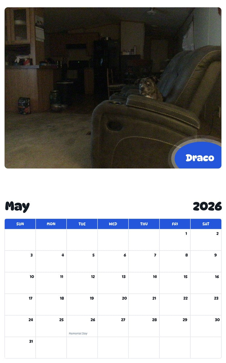 2026 - 2027 Draco - Pawidols Pet Calendar
