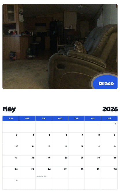 2026 - 2027 Draco - Pawidols Pet Calendar
