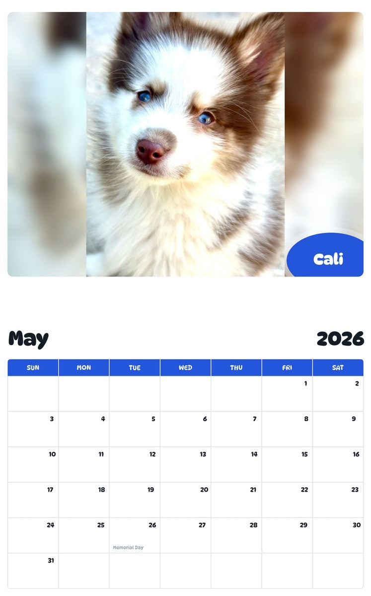 2026 - 2027 Cali - Pawidols Pet Calendar
