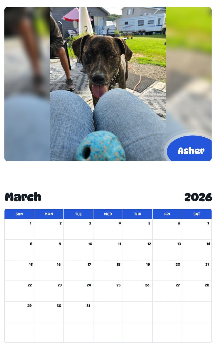 November 2025 - October 2026 Asher - Pawidols Pet Calendar
