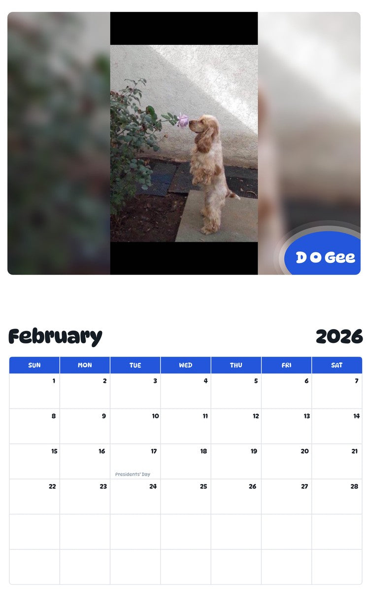 November 2025 - October 2026 D O Gee - Pawidols Pet Calendar