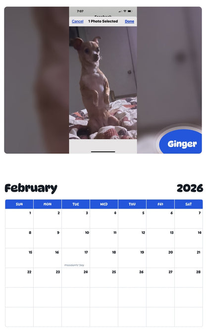 October 2025 - September 2026 Ginger - Pawidols Pet Calendar