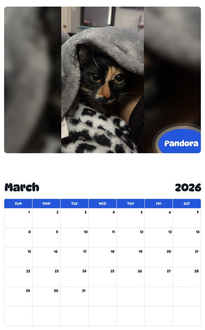 November 2025 - October 2026 Pandora - Pawidols Pet Calendar