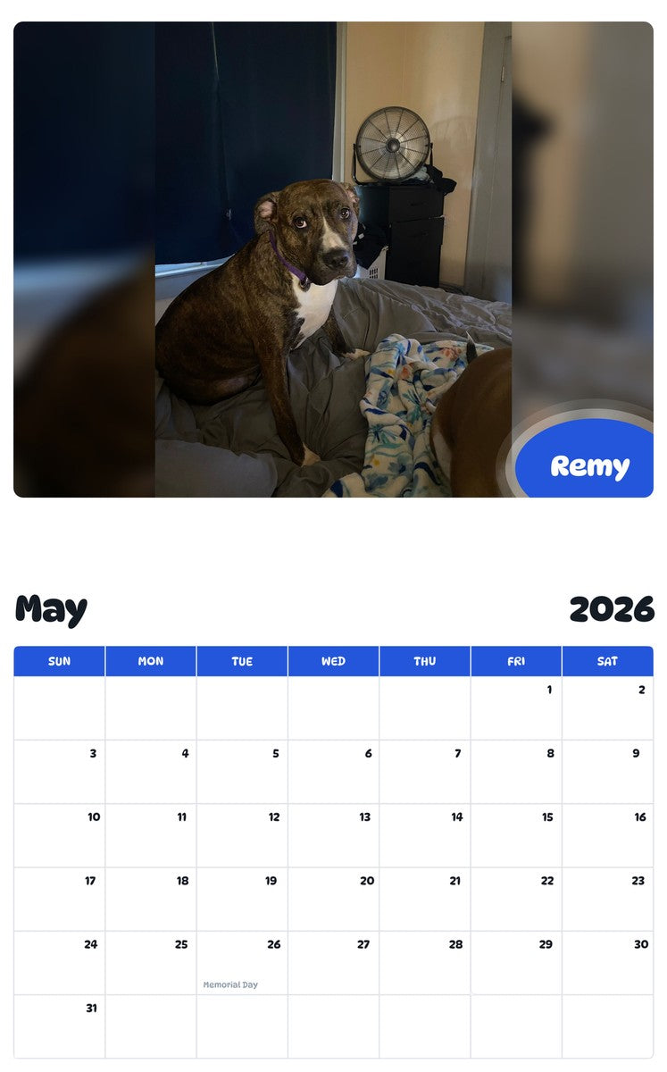 2026 - 2027 Remy - Pawidols Pet Calendar