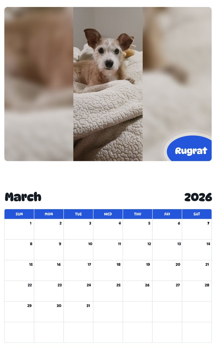 November 2025 - October 2026 Rugrat - Pawidols Pet Calendar