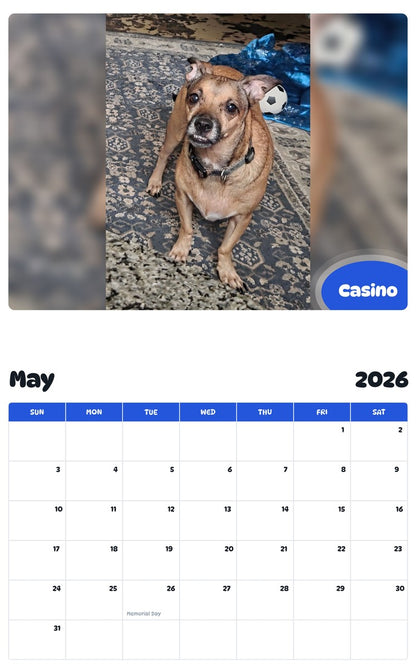 2026 - 2027 Casino - Pawidols Pet Calendar