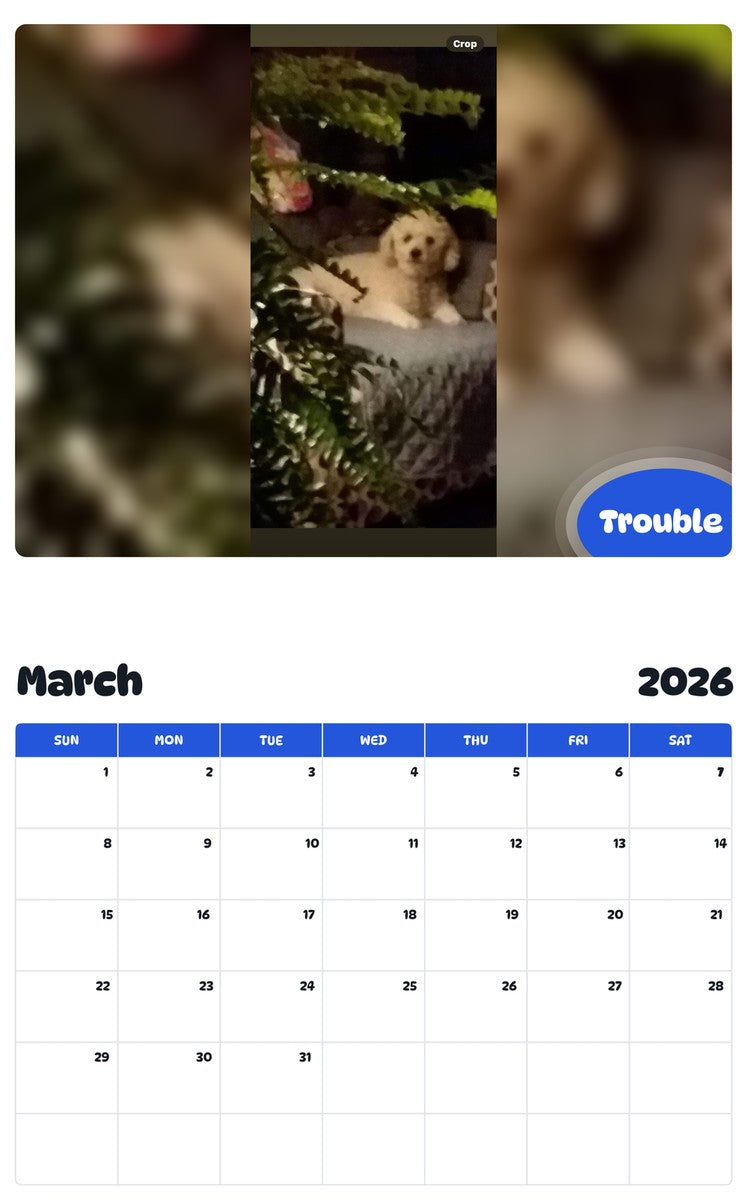 November 2025 - October 2026 Trouble - Pawidols Pet Calendar
