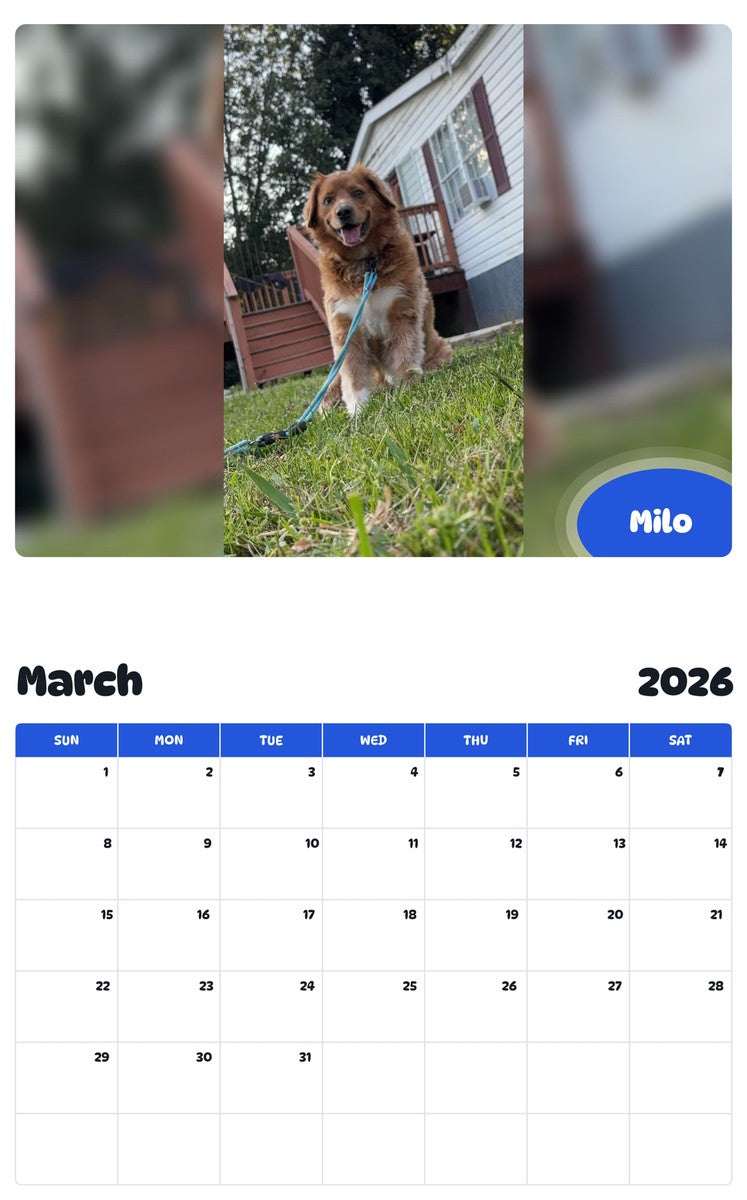 November 2025 - October 2026 Milo - Pawidols Pet Calendar