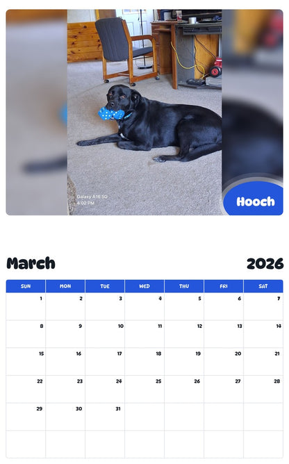 November 2025 - October 2026 Hooch - Pawidols Pet Calendar