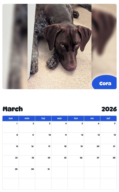 November 2025 - October 2026 Cora - Pawidols Pet Calendar