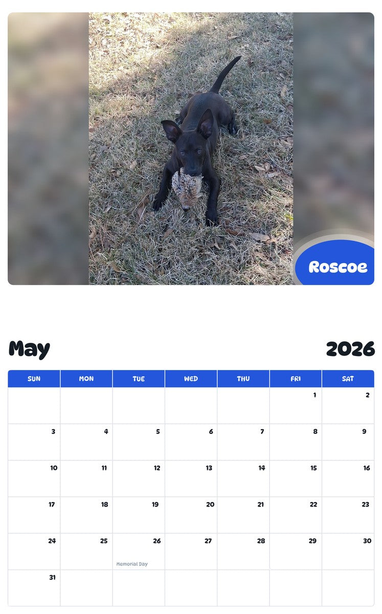 2026 - 2027 Roscoe - Pawidols Pet Calendar