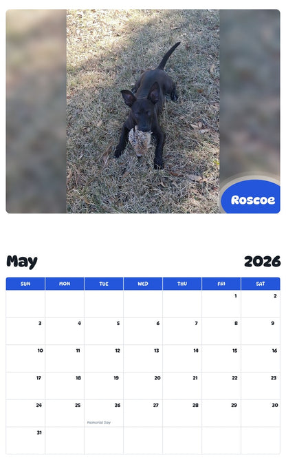 2026 - 2027 Roscoe - Pawidols Pet Calendar