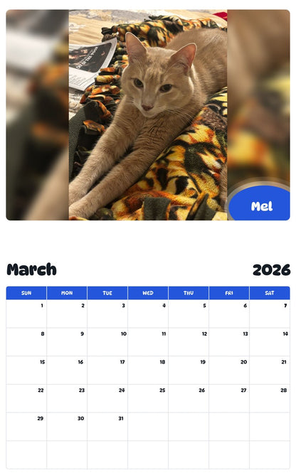 November 2025 - October 2026 Mel - Pawidols Pet Calendar