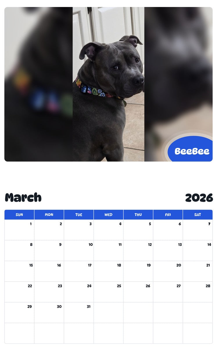 November 2025 - October 2026 BeeBee - Pawidols Pet Calendar