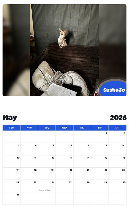 2026 - 2027 SashaJo - Pawidols Pet Calendar