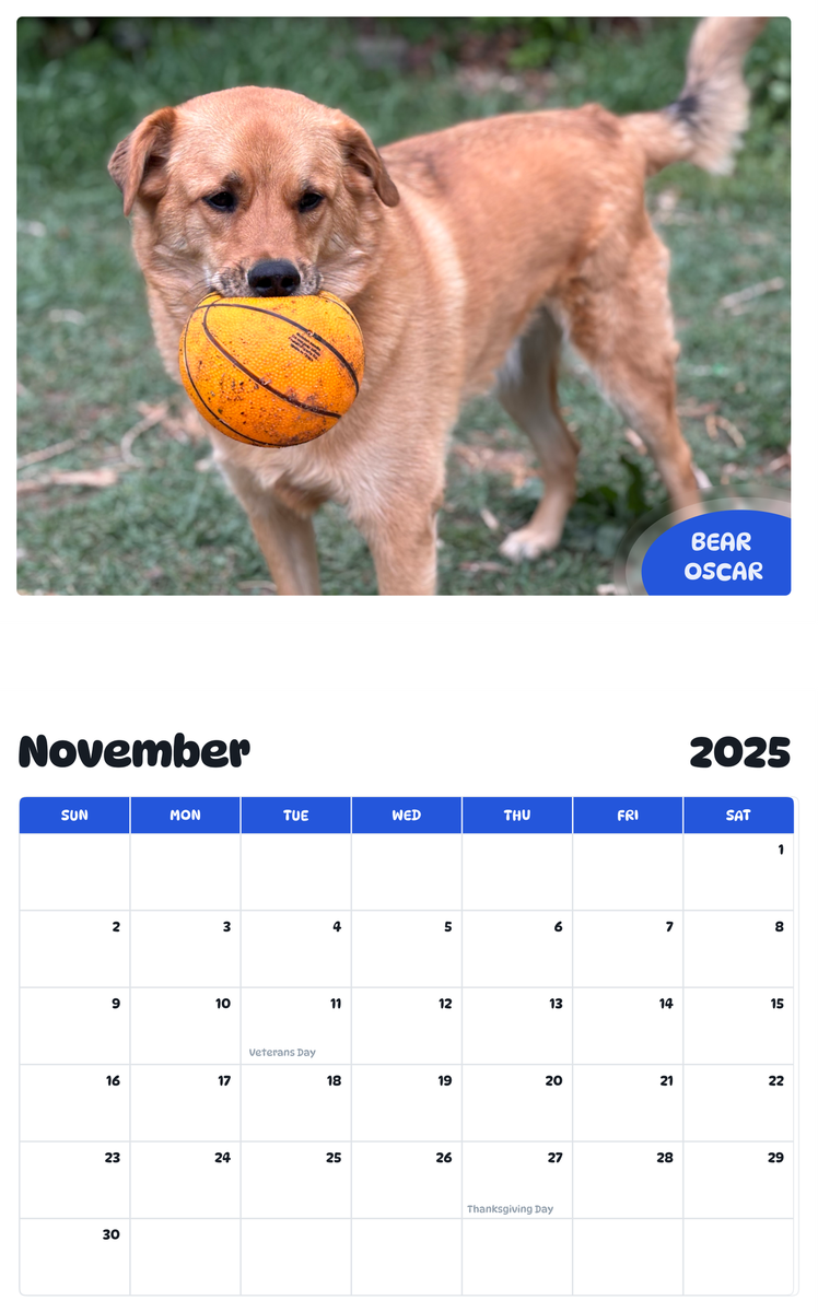 July 2025 - June 2026 Bear Oscar - Pawidols Pet Calendar