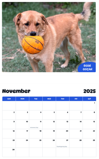 July 2025 - June 2026 Bear Oscar - Pawidols Pet Calendar
