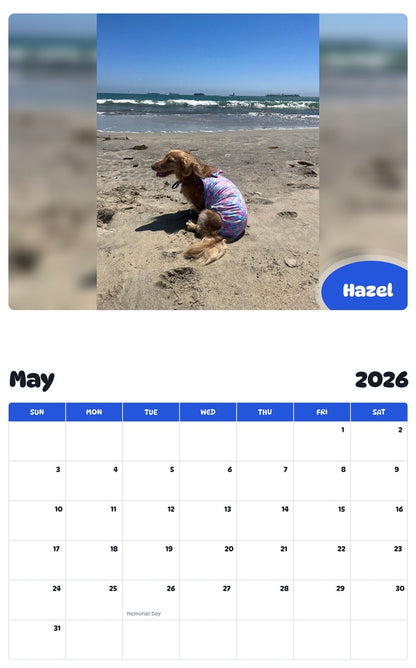 2026 - 2027 Hazel - Pawidols Pet Calendar