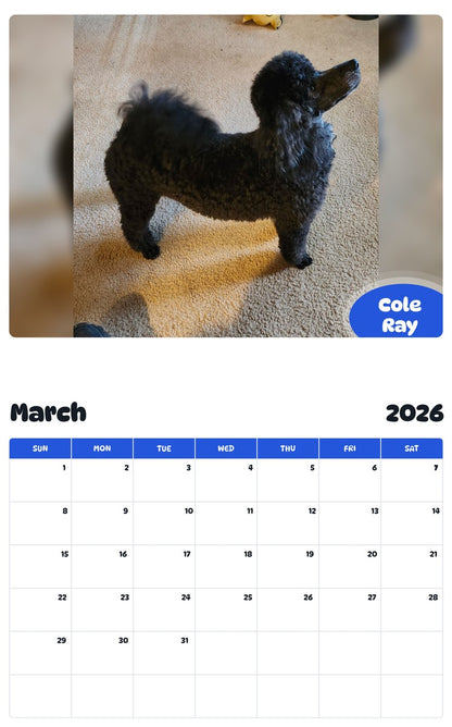November 2025 - October 2026 Cole Ray - Pawidols Pet Calendar