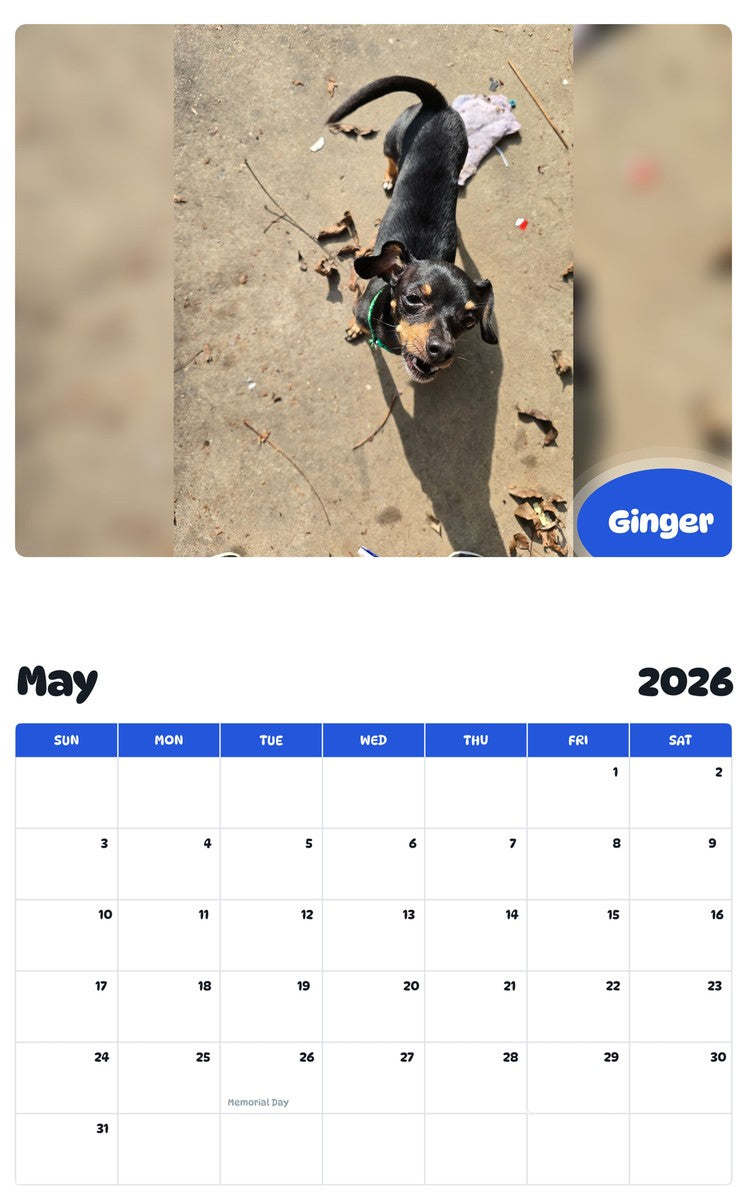 2026 - 2027 Ginger - Pawidols Pet Calendar