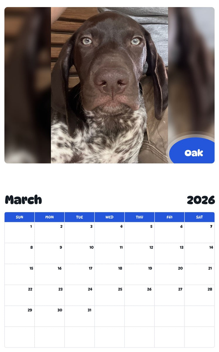 November 2025 - October 2026 Oak - Pawidols Pet Calendar