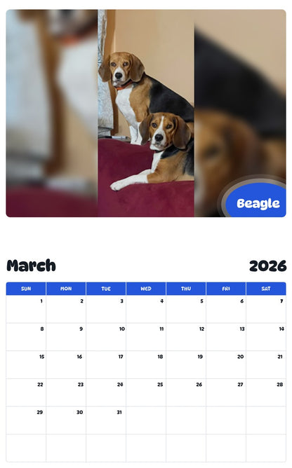 November 2025 - October 2026 Beagle - Pawidols Pet Calendar