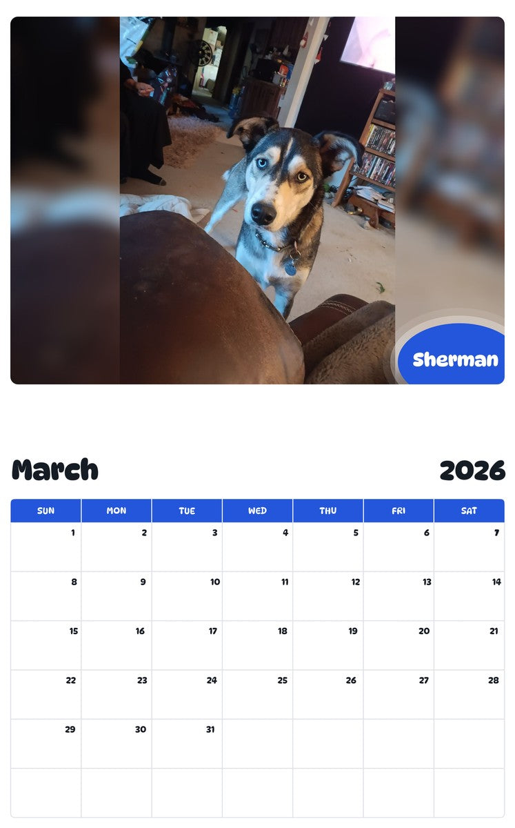 November 2025 - October 2026 Sherman - Pawidols Pet Calendar