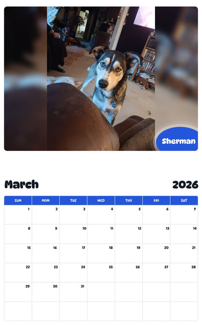 November 2025 - October 2026 Sherman - Pawidols Pet Calendar