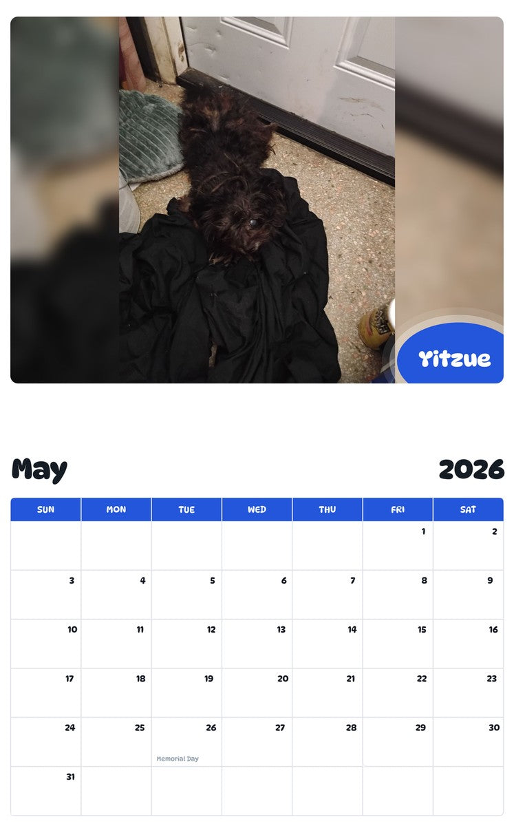 2026 - 2027 Yitzue - Pawidols Pet Calendar