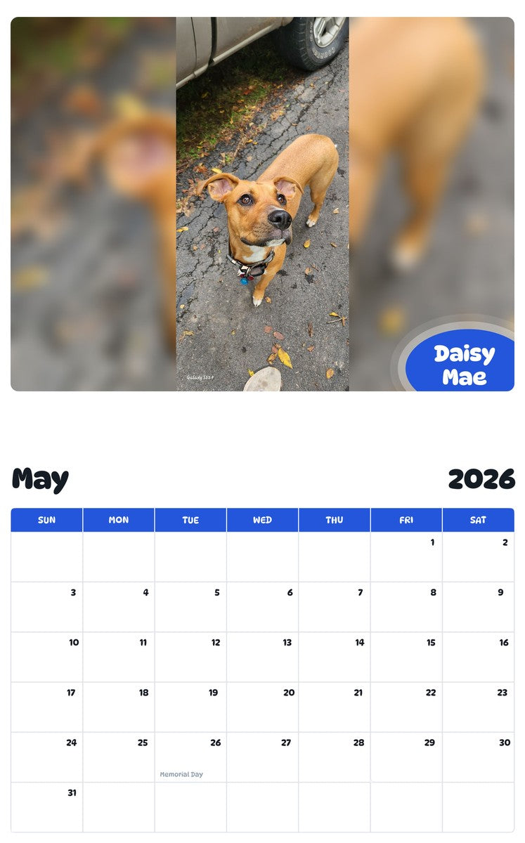 2026 - 2027 Daisy Mae - Pawidols Pet Calendar