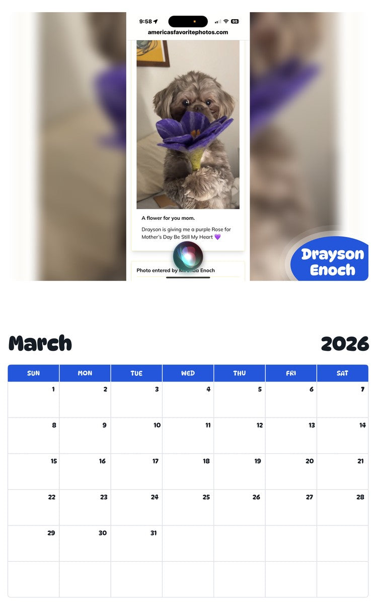 November 2025 - October 2026 Drayson  Enoch - Pawidols Pet Calendar