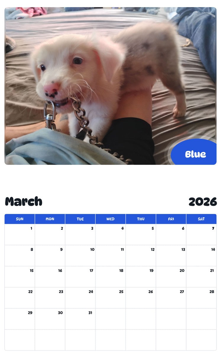 November 2025 - October 2026 Blue - Pawidols Pet Calendar