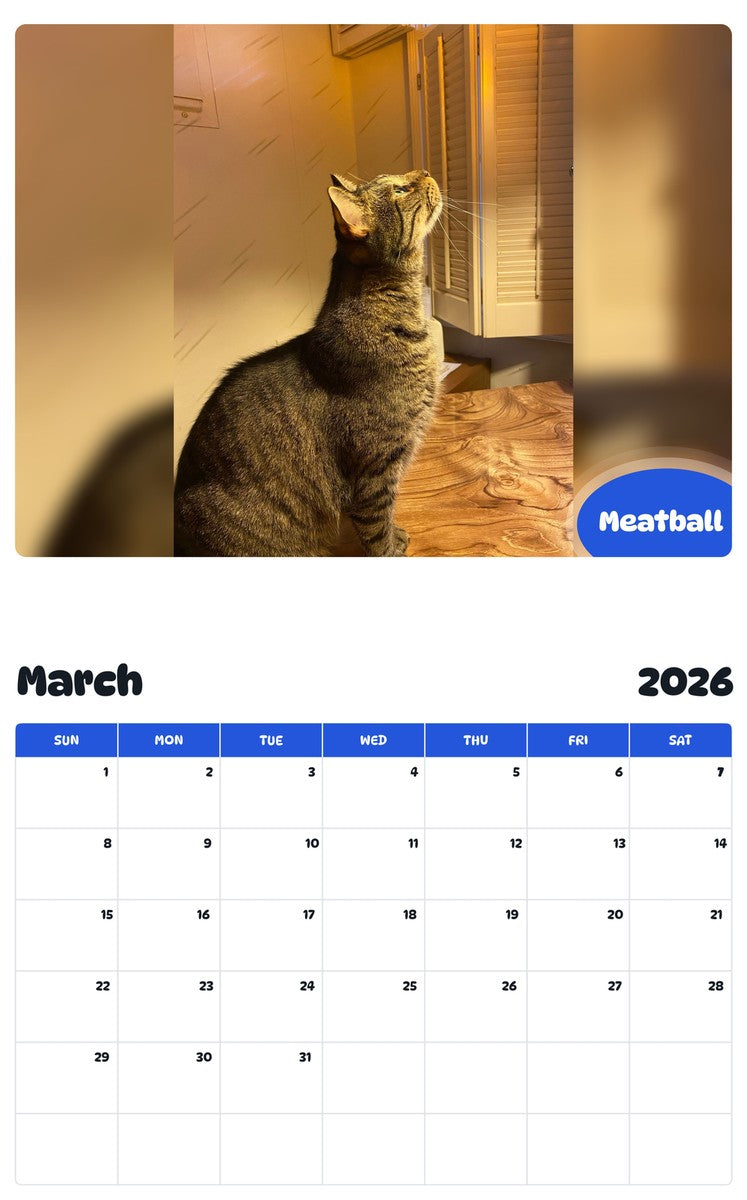 November 2025 - October 2026 Meatball - Pawidols Pet Calendar