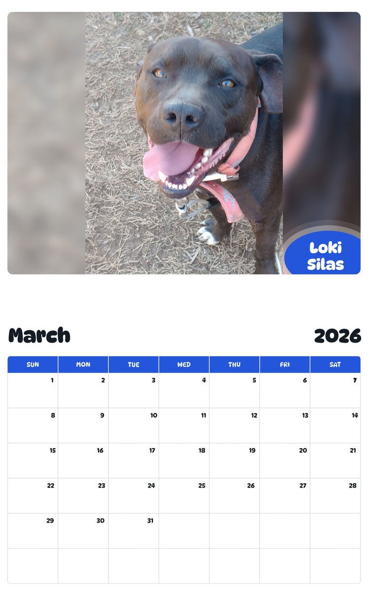 November 2025 - October 2026 Loki Silas - Pawidols Pet Calendar