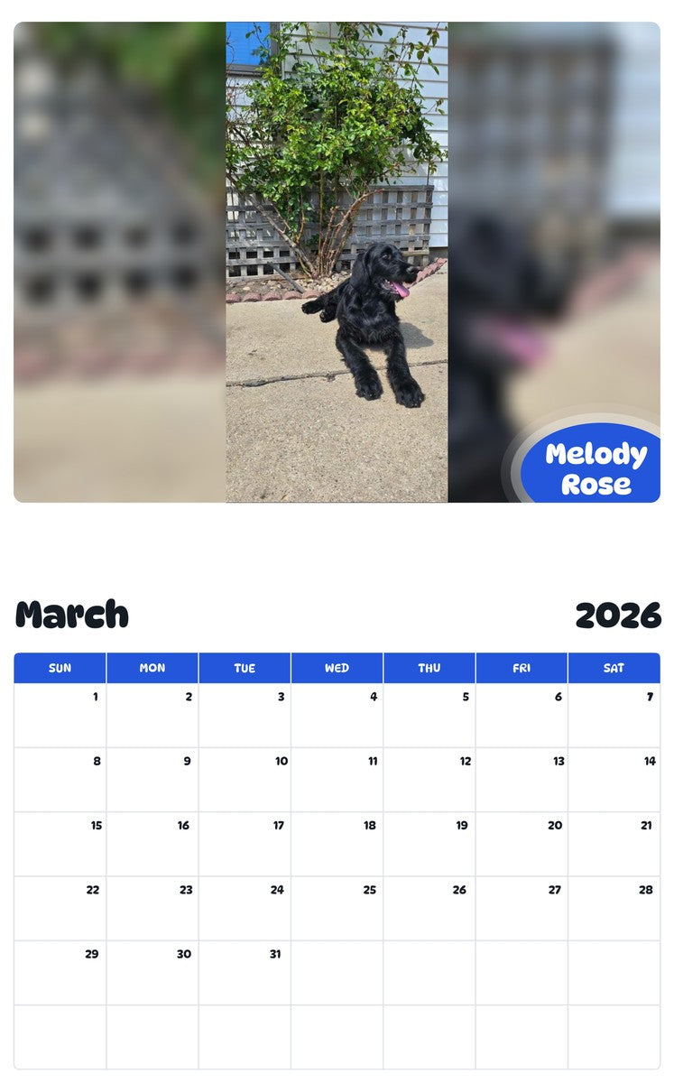 November 2025 - October 2026 Melody Rose - Pawidols Pet Calendar