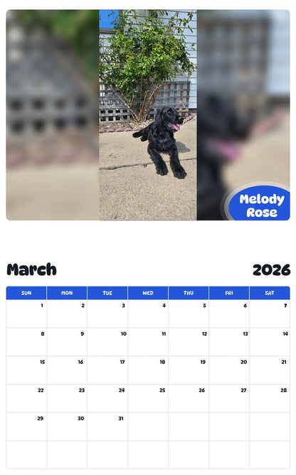November 2025 - October 2026 Melody Rose - Pawidols Pet Calendar