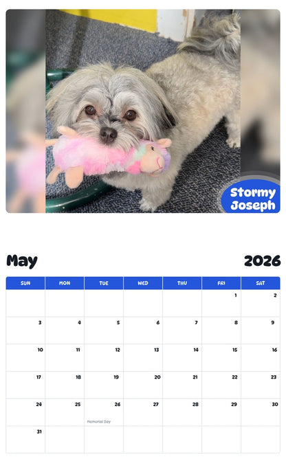 2026 - 2027 Stormy Joseph - Pawidols Pet Calendar