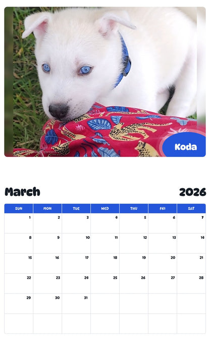 November 2025 - October 2026 Koda - Pawidols Pet Calendar