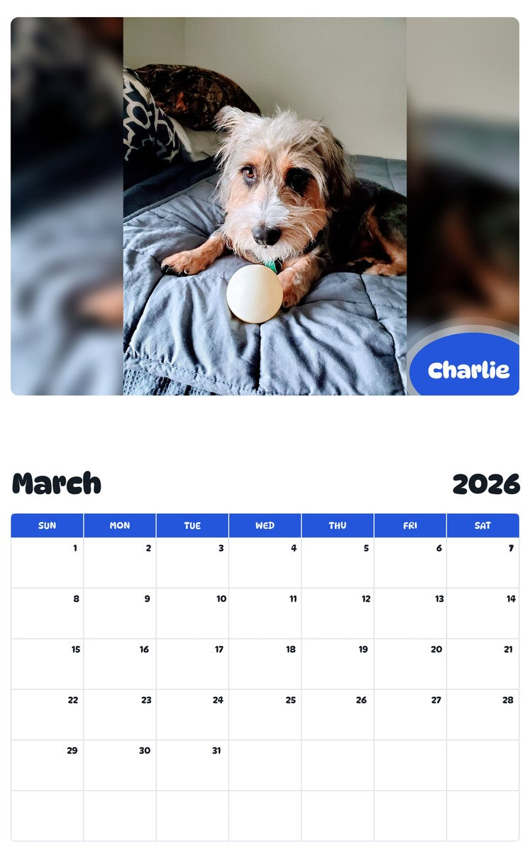 November 2025 - October 2026 Charlie - Pawidols Pet Calendar