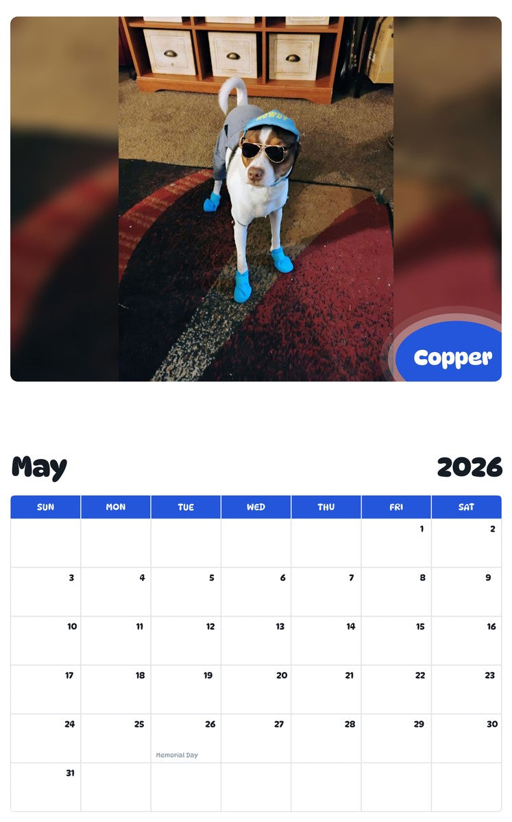 2026 - 2027 Copper - Pawidols Pet Calendar