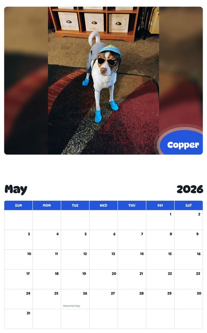 2026 - 2027 Copper - Pawidols Pet Calendar