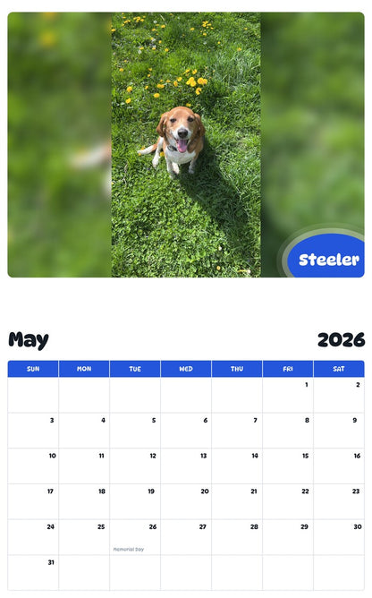 2026 - 2027 Steeler - Pawidols Pet Calendar