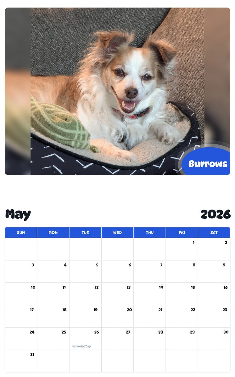 2026 - 2027 Burrows - Pawidols Pet Calendar