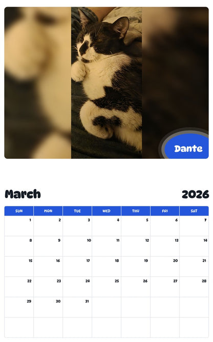 November 2025 - October 2026 Dante - Pawidols Pet Calendar
